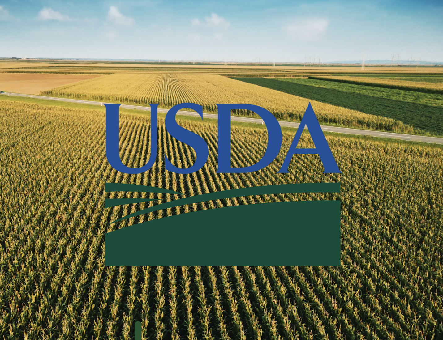 Who Needs USDA Certification And Why Is It Important?